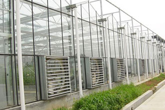 降溫風機工程案例